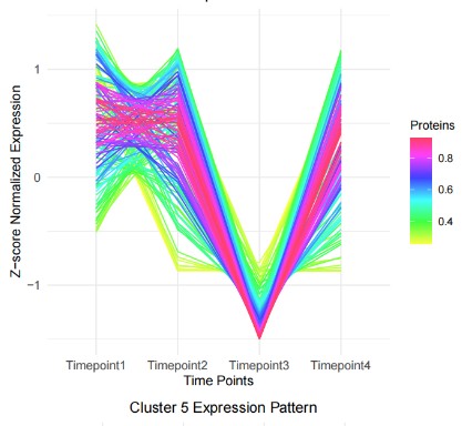 R语言时间序列蛋白质组学聚类分析完整教程